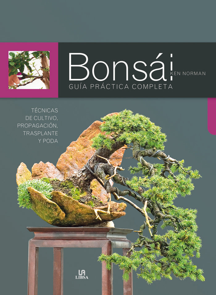 Bonsái Gu¡a Práctica Completa, de NORMAN | portada del libro