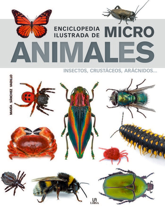 Enciclopedia Ilustrada de Micro Animales, de Sánchez Vadillo | portada del libro