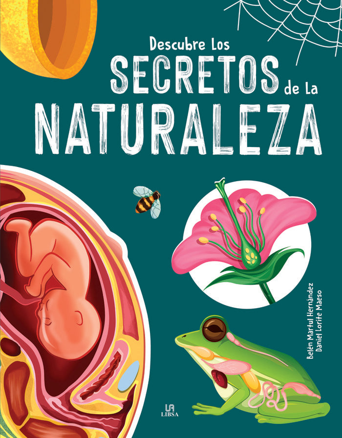 DESCUBRE LOS SECRETOS DE LA NATURALEZA, de MARTUL HERNANDEZ, BELEN | portada del libro