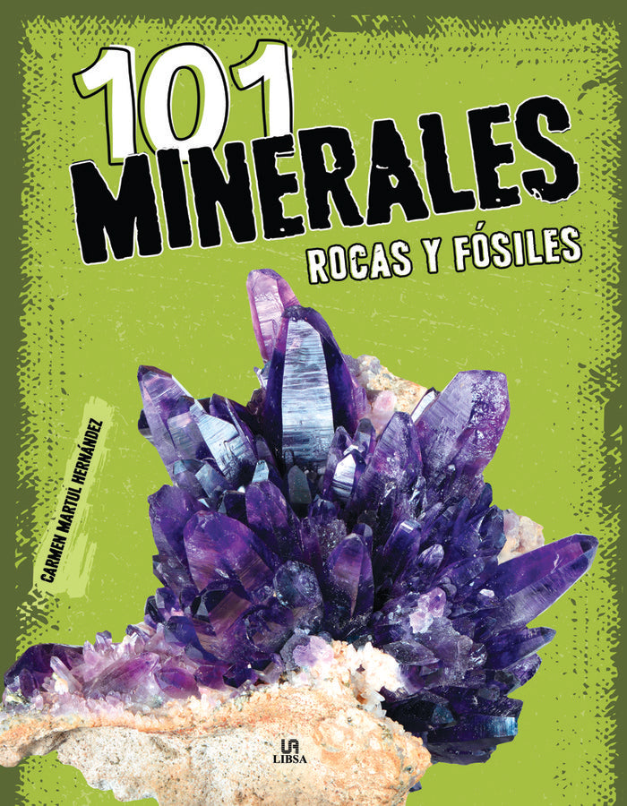 101 MINERALES ROCAS Y FOSILES, de MARTUL HERNANDEZ, CARMEN | portada del libro