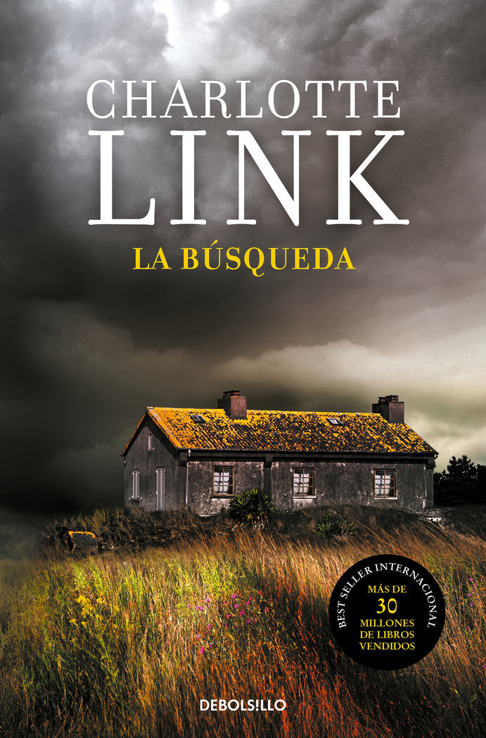 LA BUSQUEDA, de LINK, CHARLOTTE | portada del libro