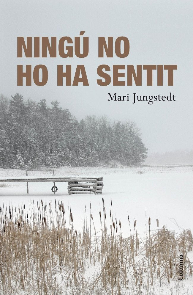 Ningú no ho ha sentit, de Jungstedt | portada del libro