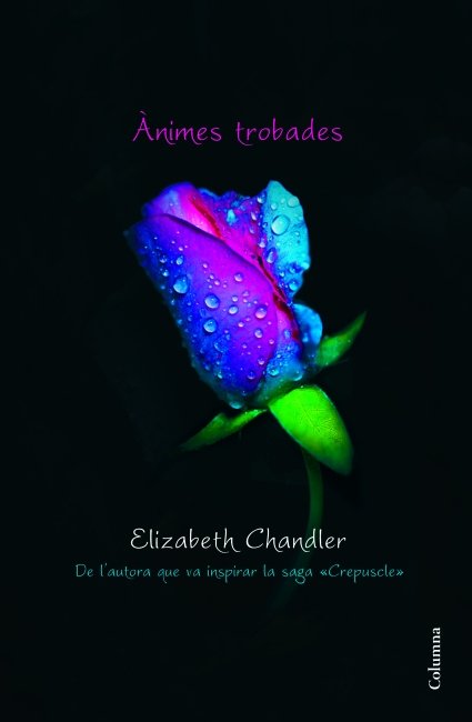 Ànimes trobades, de Chandler | portada del libro