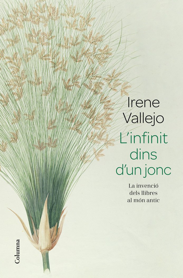 L'infinit dins d'un jonc, de Vallejo, Irene | portada del libro