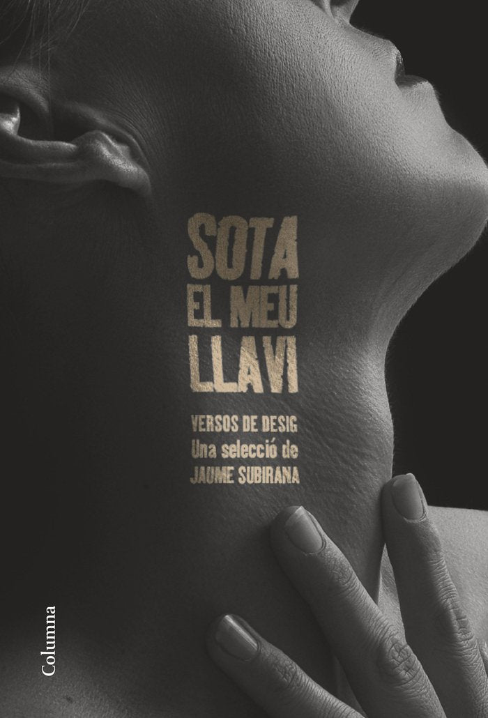 SOTA EL MEU LLAVI, de SUBIRANA, JAUME | portada del libro