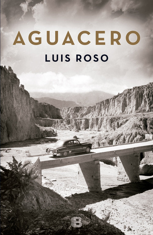 Aguacero (Inspector Trevejo 1), de Roso | portada del libro