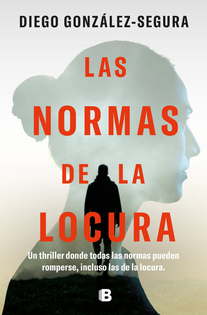 Las normas de la locura, de DIEGO GONZALEZ SEGURA | portada del libro