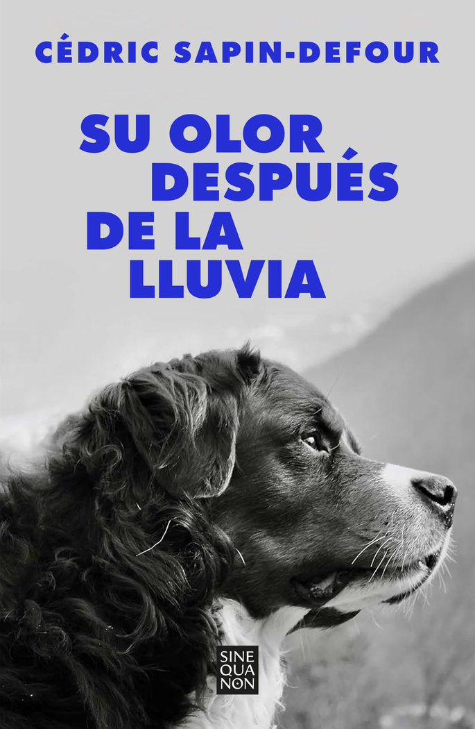 SU OLOR DESPUES DE LA LLUVIA, de SAPIN-DEFOUR, CEDRIC | portada del libro