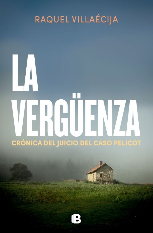 LA VERGÜENZA, de Raquel Villaecija | portada del libro