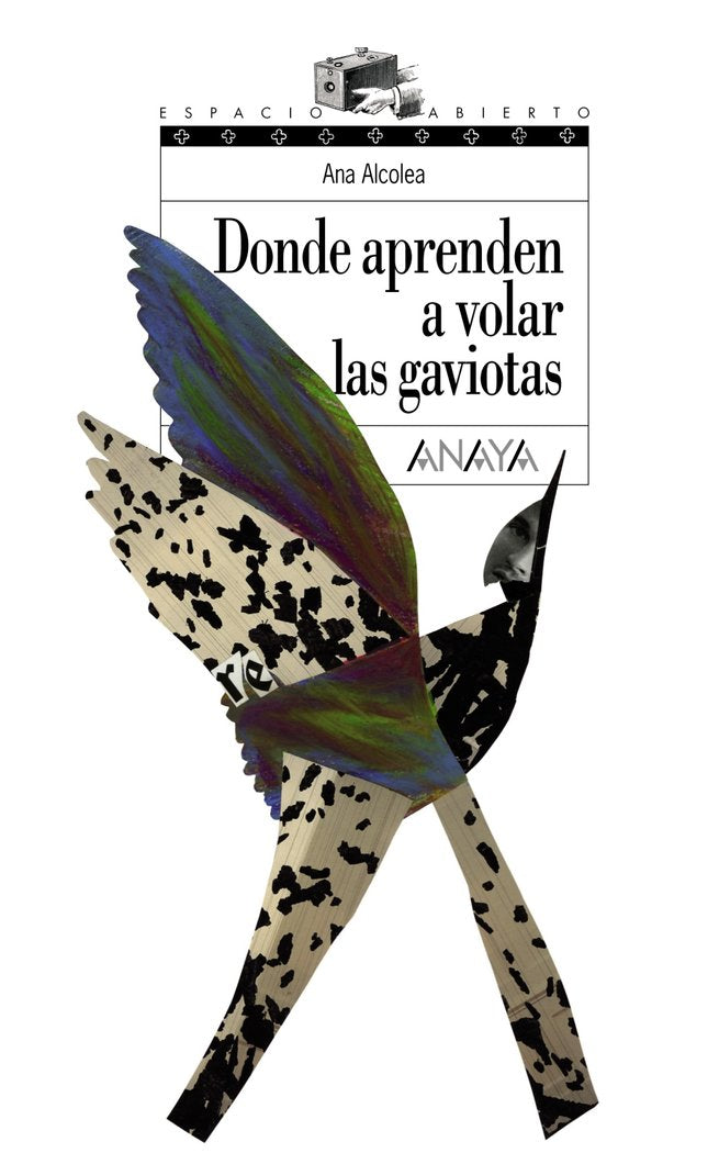 Donde aprenden a volar las gaviotas, de Alcolea, Ana | portada del libro