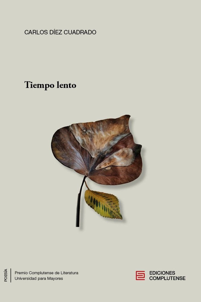 Tiempo lento, de DIEZ CUADRADO,CARLOS | portada del libro