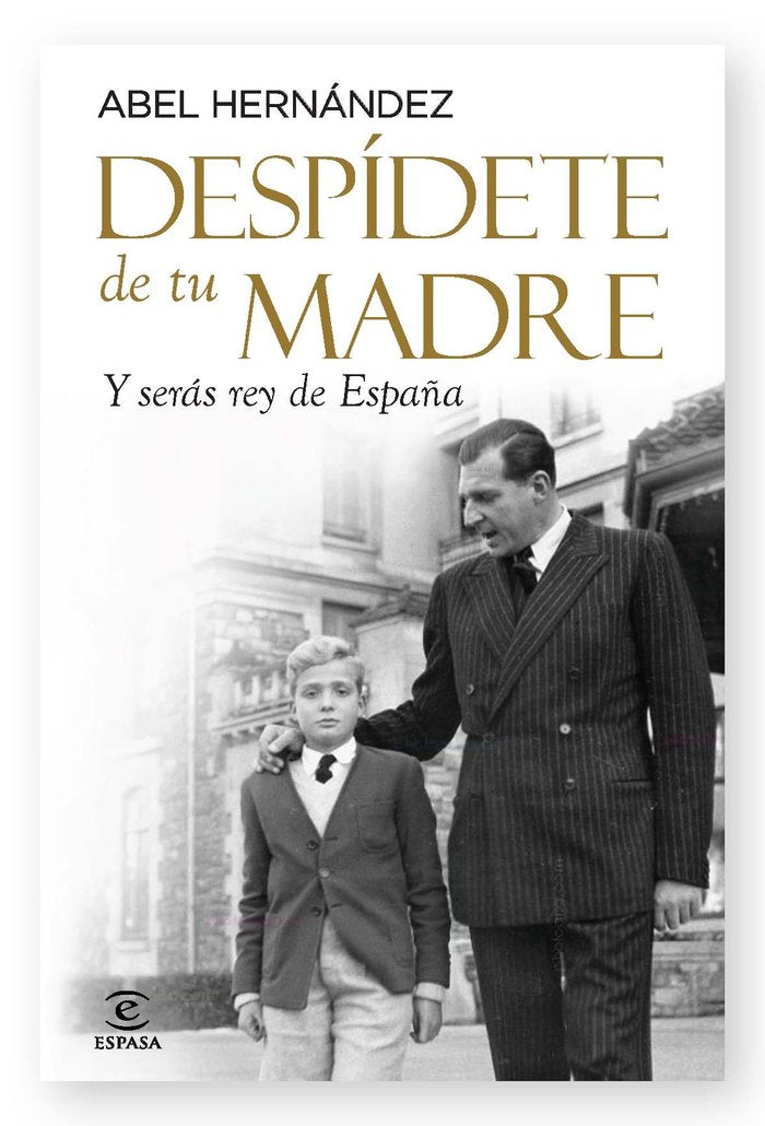 Desp¡dete de tu madre, de ABEL HERNANDEZ | portada del libro