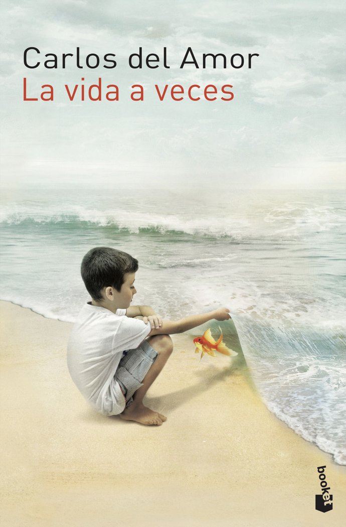 La vida a veces, de Amor, Carlos del | portada del libro