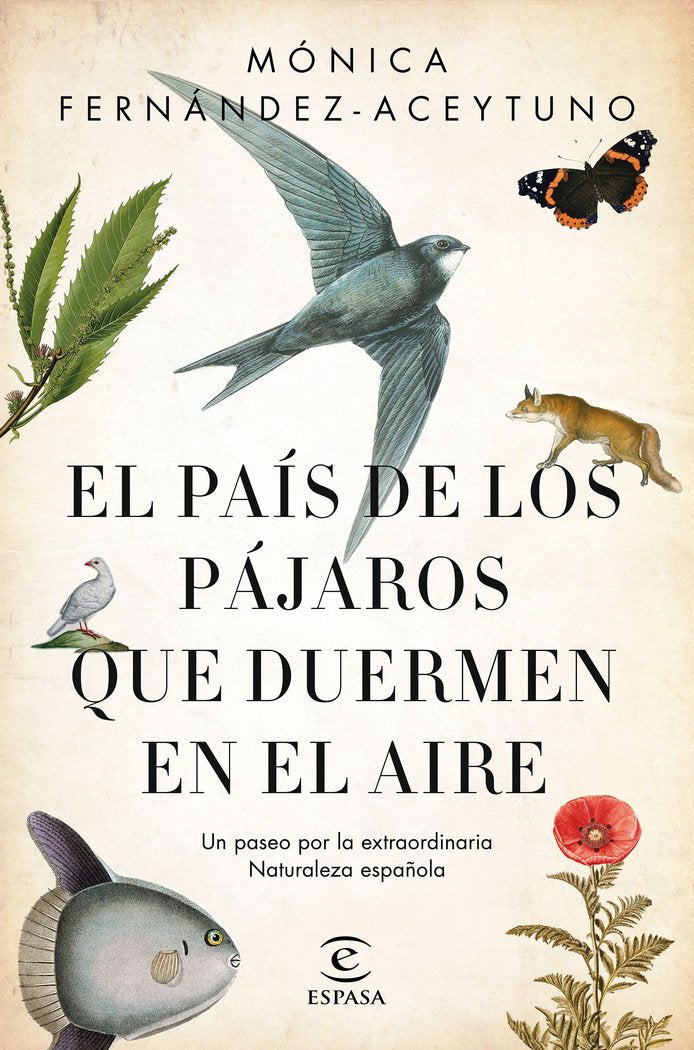 El país de los pájaros que duermen en el aire, de Fernández-Aceytuno Saénz de Santa María, Mónica | portada del libro