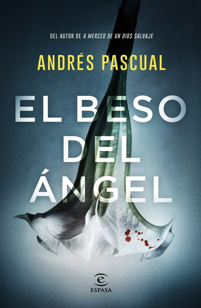 El beso del ángel, de Pascual, Andrés | portada del libro