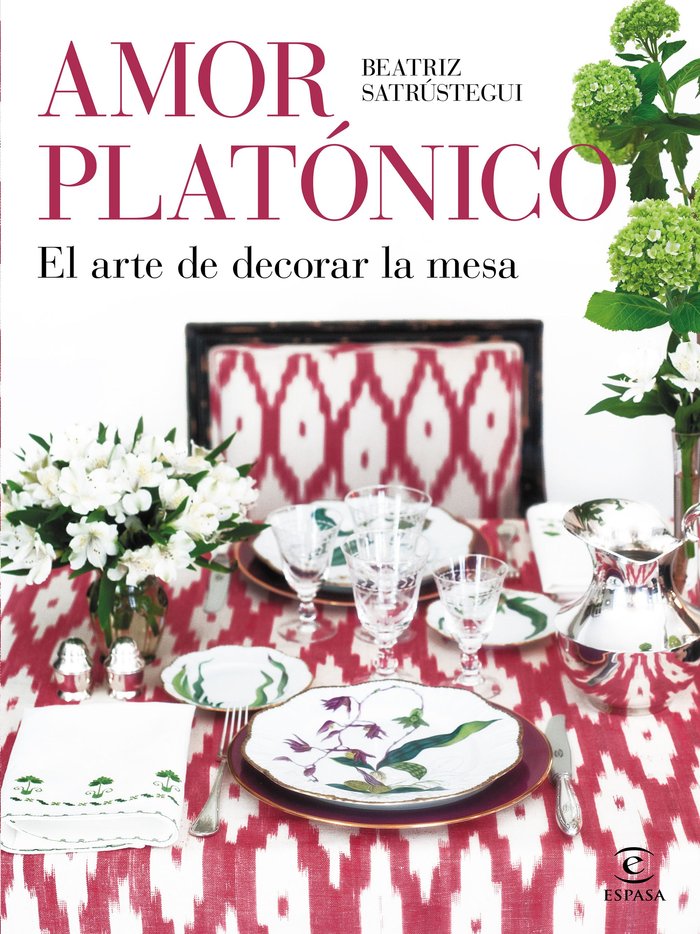 AMOR PLATONICO, de BEATRIZ SATRUSTEGUI | portada del libro