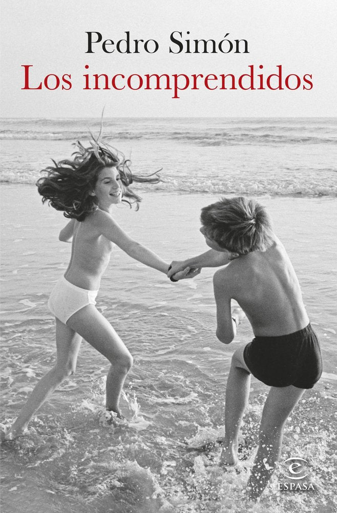 LOS INCOMPRENDIDOS, de PEDRO SIMON | portada del libro