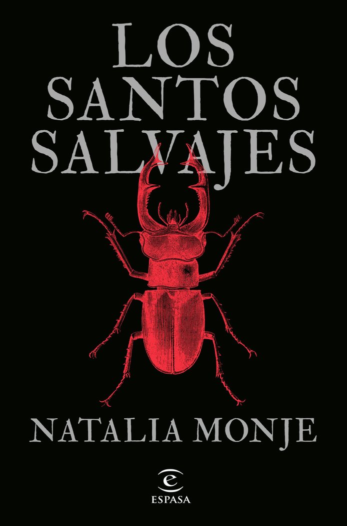NOVELA MAGICA GALLEGA, de NATALIA MONJE | portada del libro