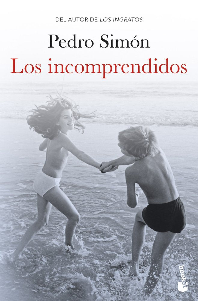 LOS INCOMPRENDIDOS, de PEDRO SIMON | portada del libro