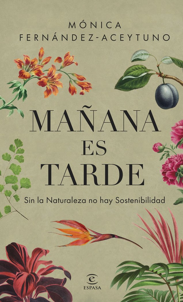 MAÑANA ES TARDE, de FERNANDEZ-ACEYTUNO SAENZ DE SANTA MARIA, MONICA | portada del libro