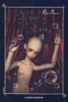El corazón de Arlene, de VICTORIA FRANCES | portada del libro