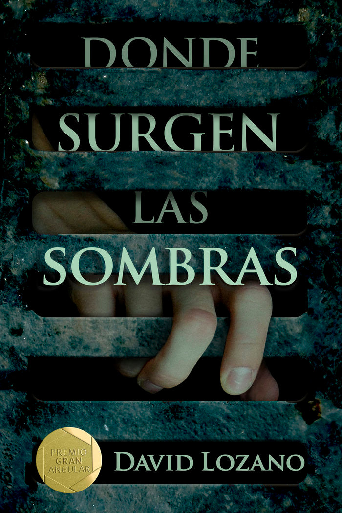 Donde surgen las sombras, de Lozano Garbala, David | portada del libro