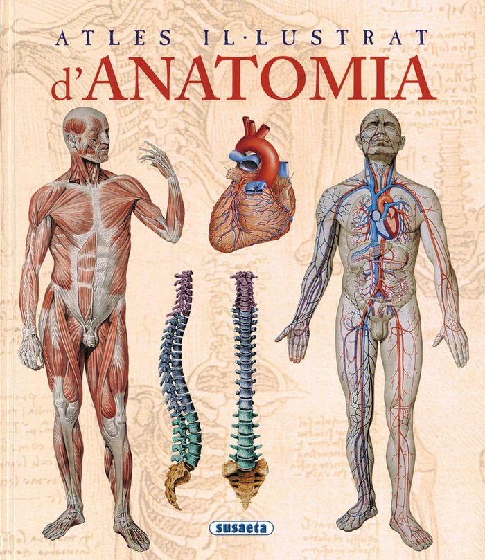 Atles il-lustrat d'anatomia, de Rigutti | portada del libro