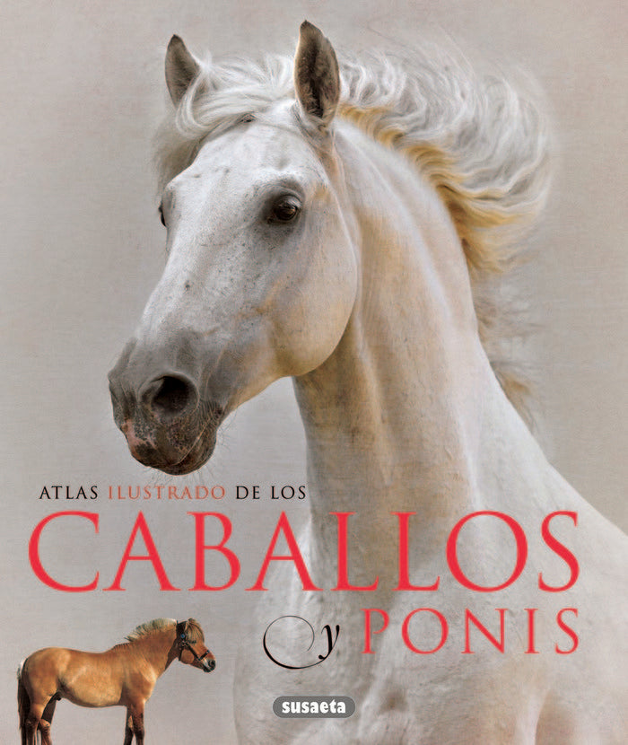 Caballos y ponis, de Laban, Brian | portada del libro
