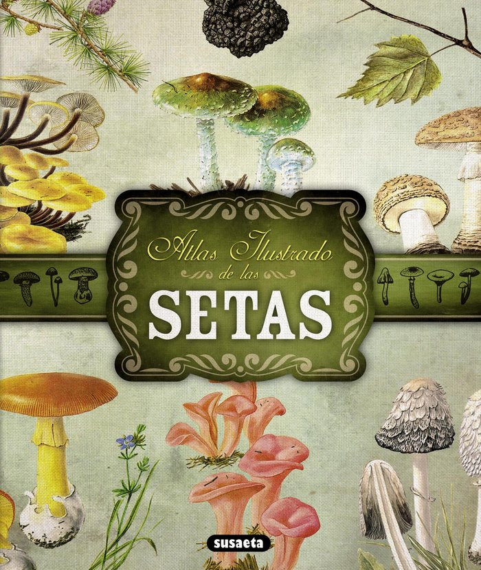 Setas, de Becker, Georges | portada del libro