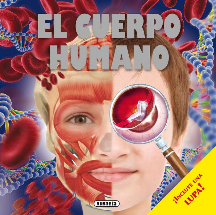 El cuerpo humano, de Susaeta | portada del libro