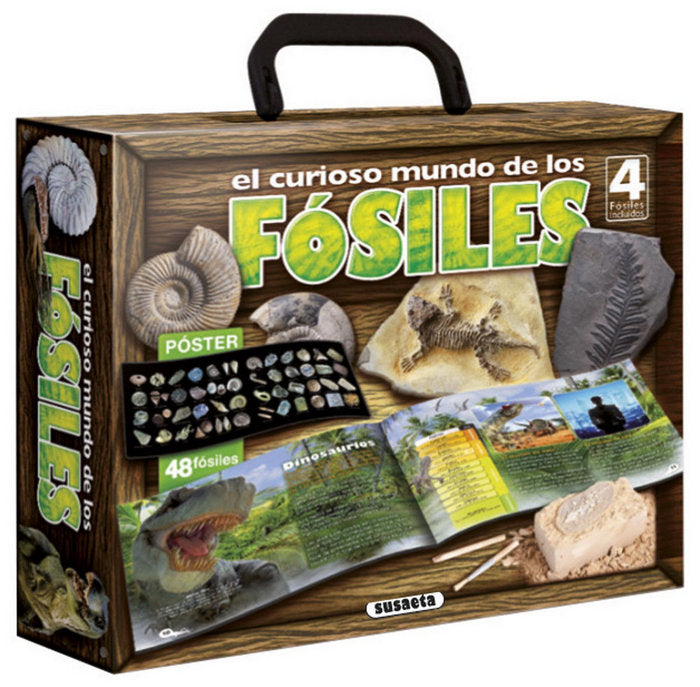 El curioso mundo de los fósiles, de Cuenca | portada del libro