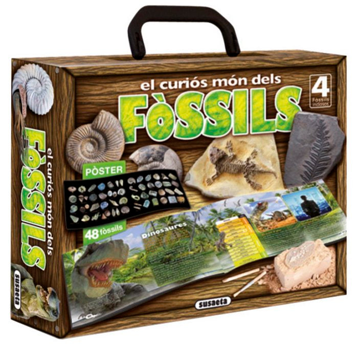 El curiós món dels fòssils, de Cuenca | portada del libro