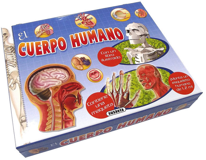 El cuerpo humano, de Susaeta, Equipo | portada del libro