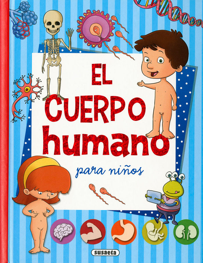 El cuerpo humano, de Susaeta | portada del libro