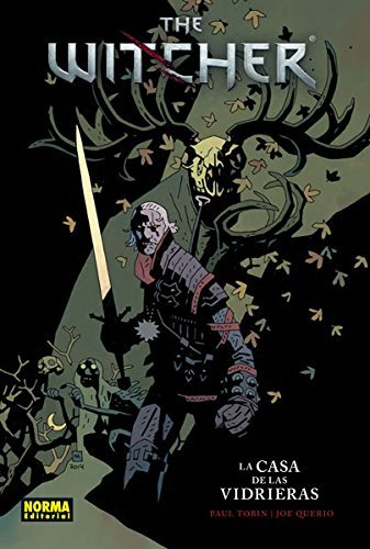The Witcher 1, de Tobin | portada del libro