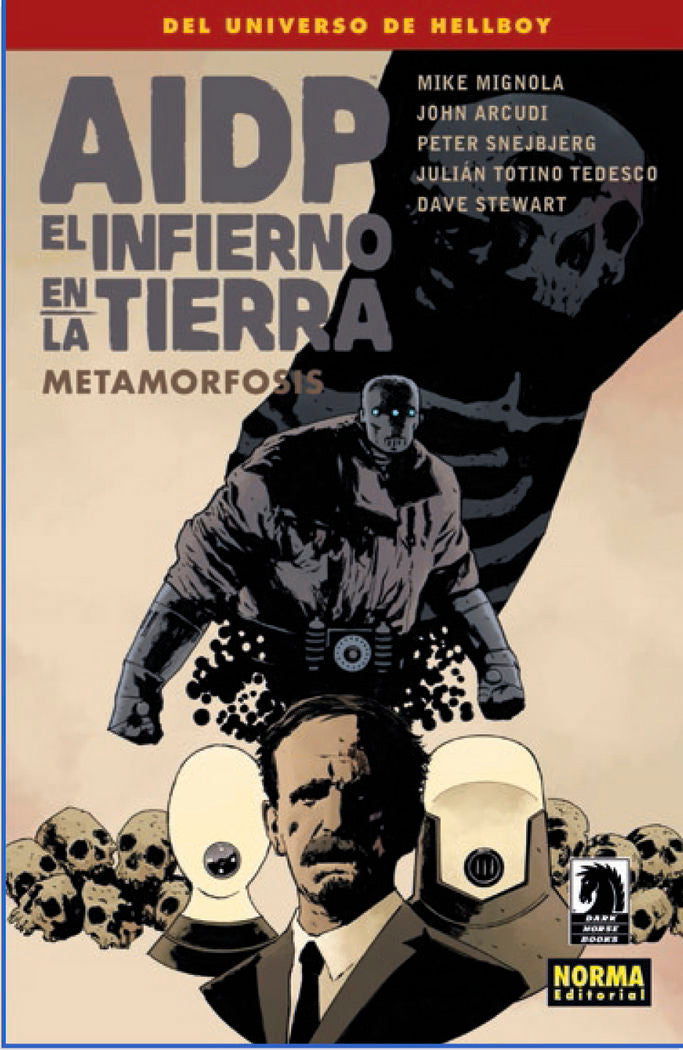 AIDP 29. EL INFIERNO EN LA TIERRA 12, de VVAA | portada del libro
