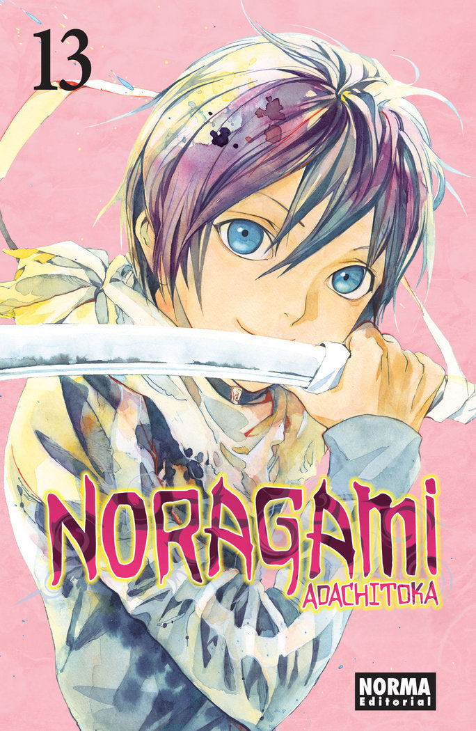 Noragami 13, de Adachitoka | portada del libro