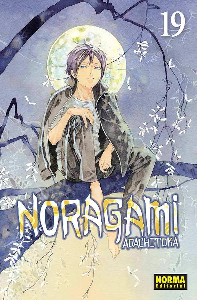 Noragami 19, de Adachitoka | portada del libro