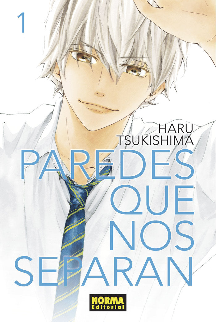 Paredes que nos separan 1, de Tsukishima | portada del libro