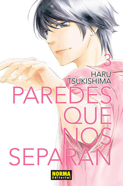 Paredes que nos separan 3, de Tsukishima | portada del libro