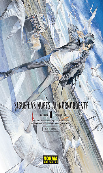 Sigue las nubes al nornoroeste 1, de Irie | portada del libro