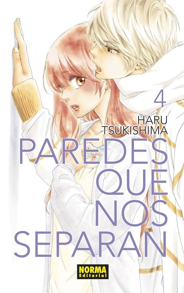 Paredes que nos separan 4, de Tsukishima | portada del libro
