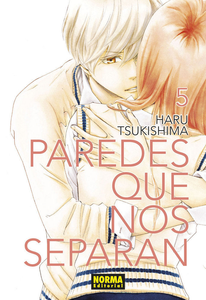 Paredes que nos separan 5, de Tsukishima | portada del libro