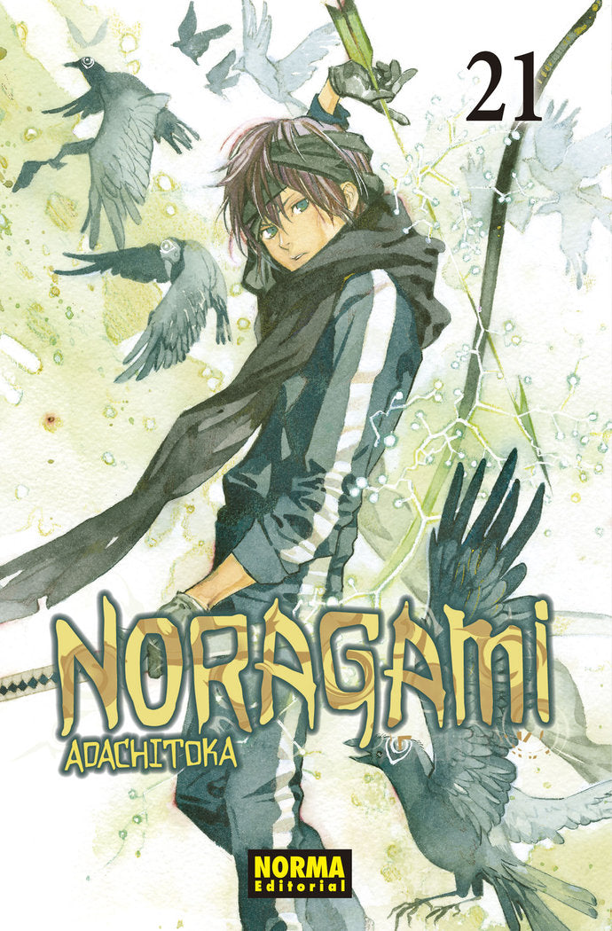 NORAGAMI 21, de ADACHITOKA | portada del libro