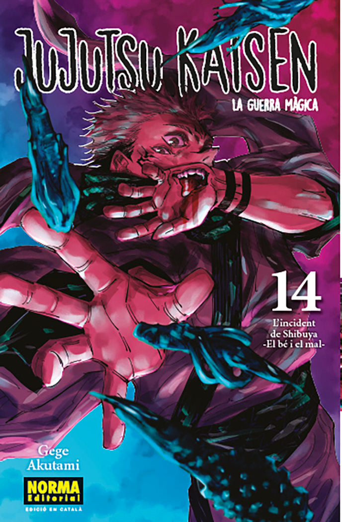 JUJUTSU KAISEN 14 CATALA, de AKUTAMI | portada del libro