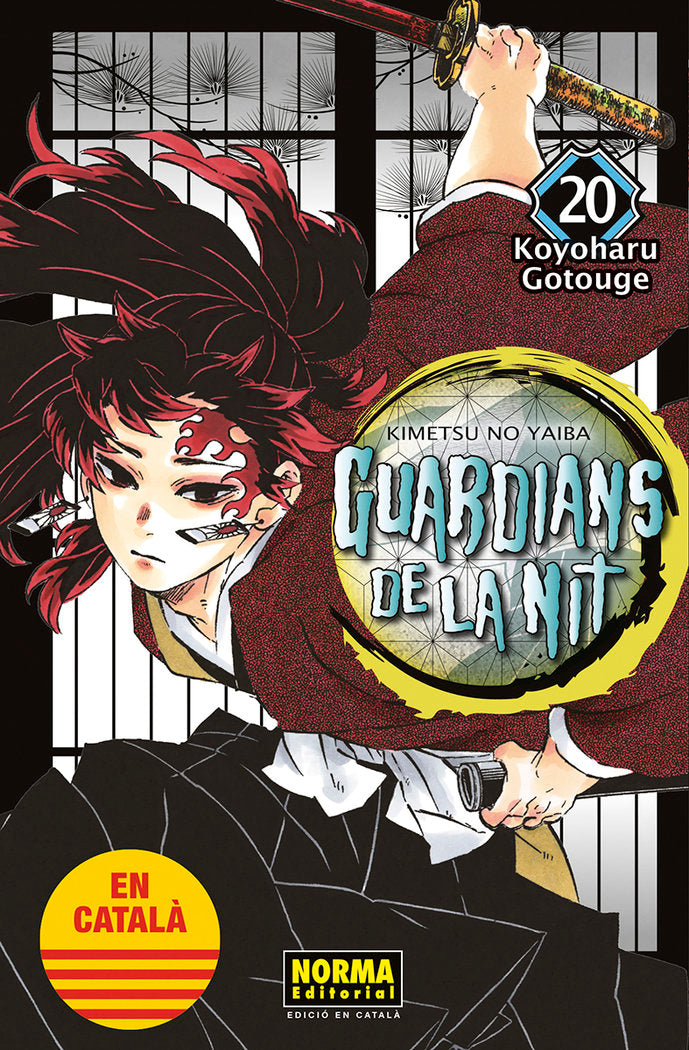 GUARDIANS DE LA NIT 20, de GOTOUGE | portada del libro