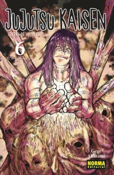 JUJUTSU KAISEN 06 (NUEVO PVP), de GEGE AKUTAMI | portada del libro