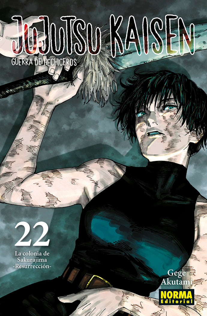 JUJUTSU KAISEN 22, de AKUTAMI | portada del libro