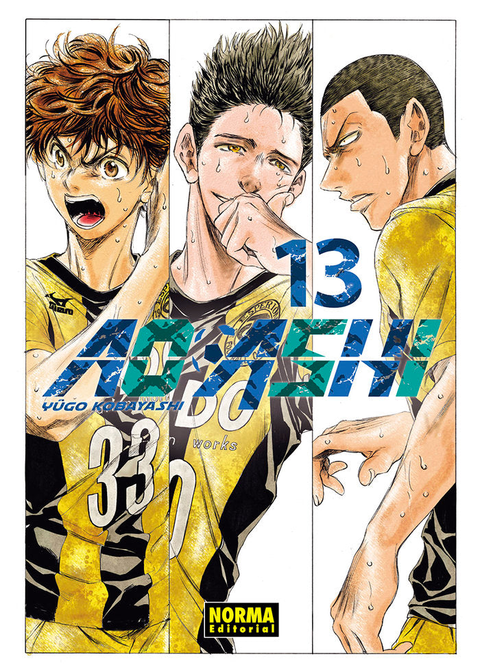 AO ASHI 13, de KOBAYASHI | portada del libro