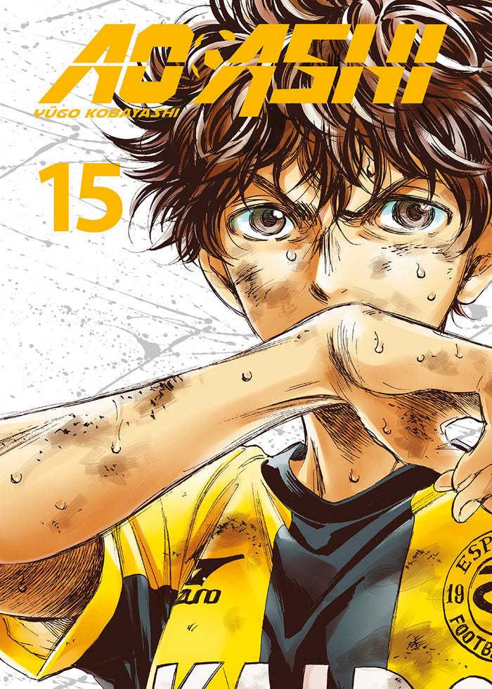 AO ASHI 15, de KOBAYASHI | portada del libro